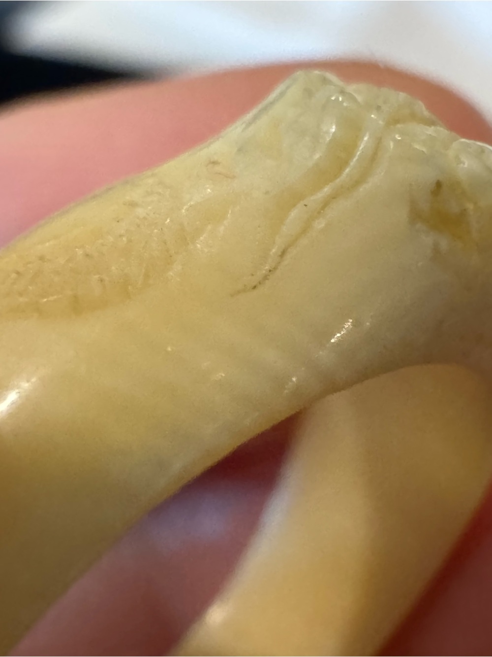 Elegant Carved Bone (?) Dragon Ring - Picture 7 of 7